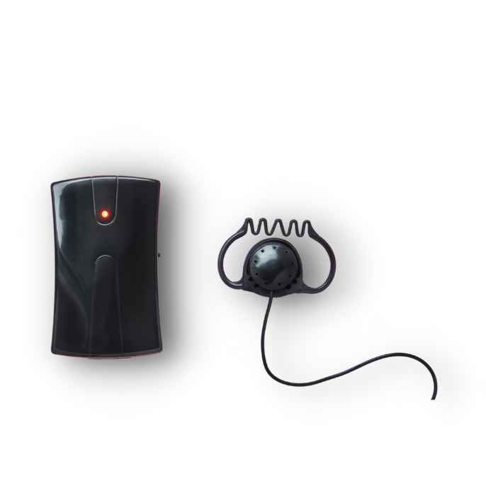 interpretación simulatánea